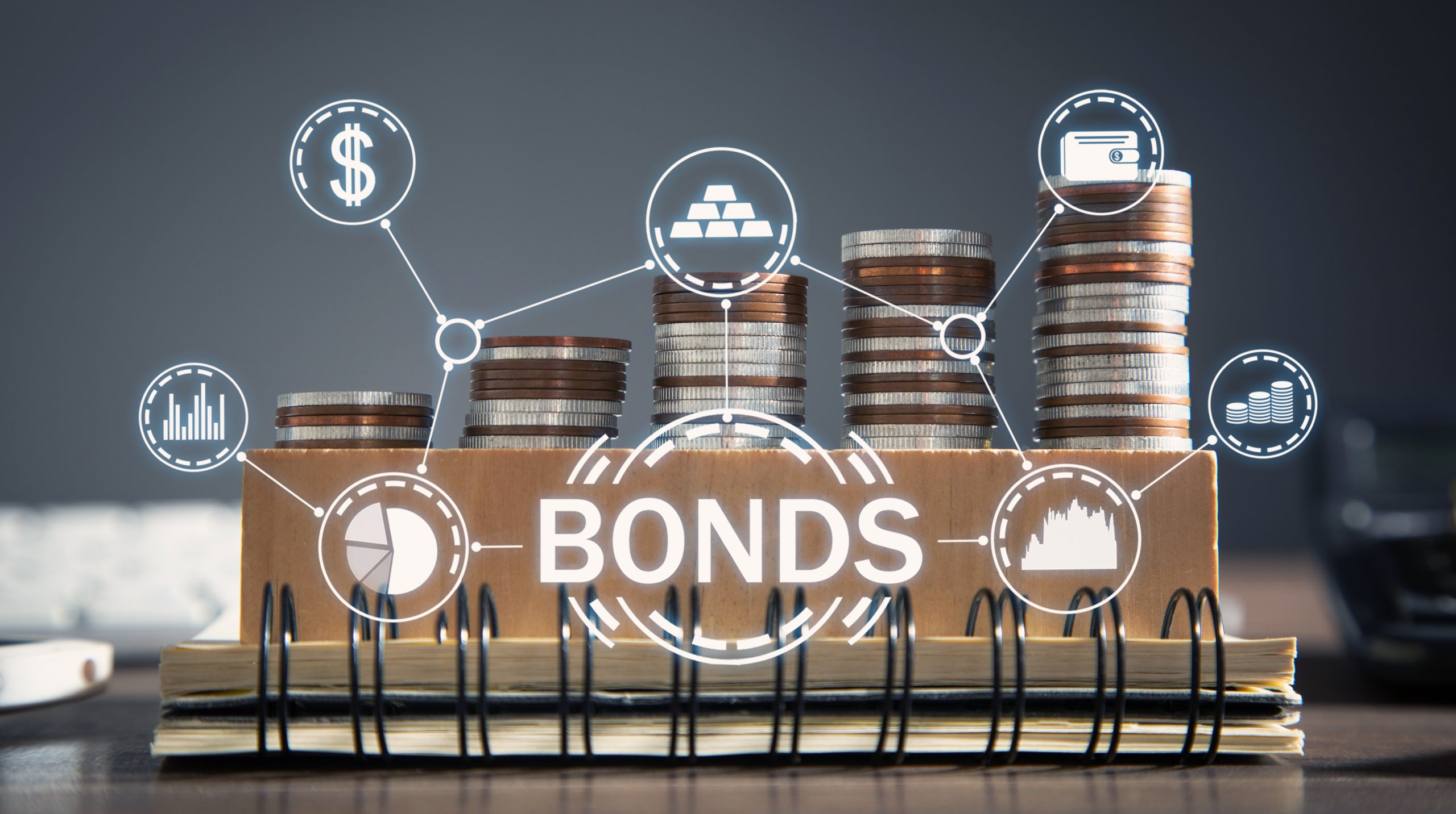 Investing in government bonds