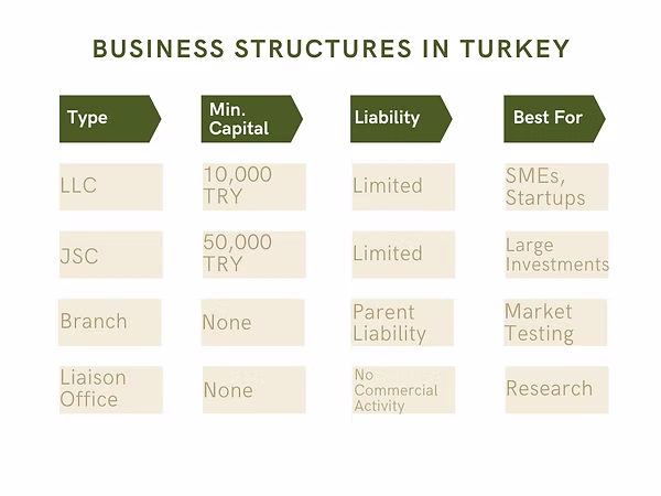 Business structures in Turkey