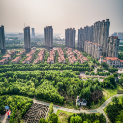 land rented